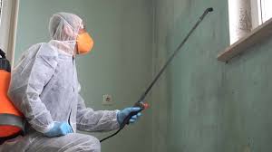 Best Mold Damage Restoration  in Fredericktown, MO